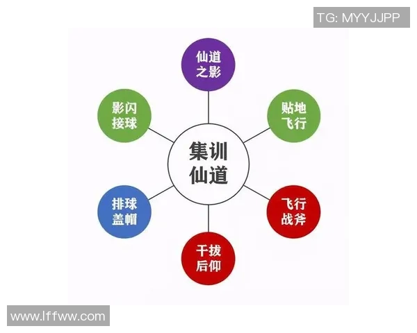 深圳排球队运营策略深度解析与发展前景展望 深圳排球队运营策略深度解析与发展前景展望