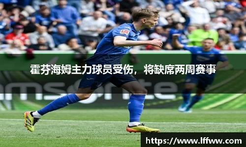 霍芬海姆主力球员受伤，将缺席两周赛事