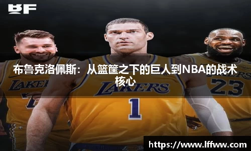 K1体育官方网站